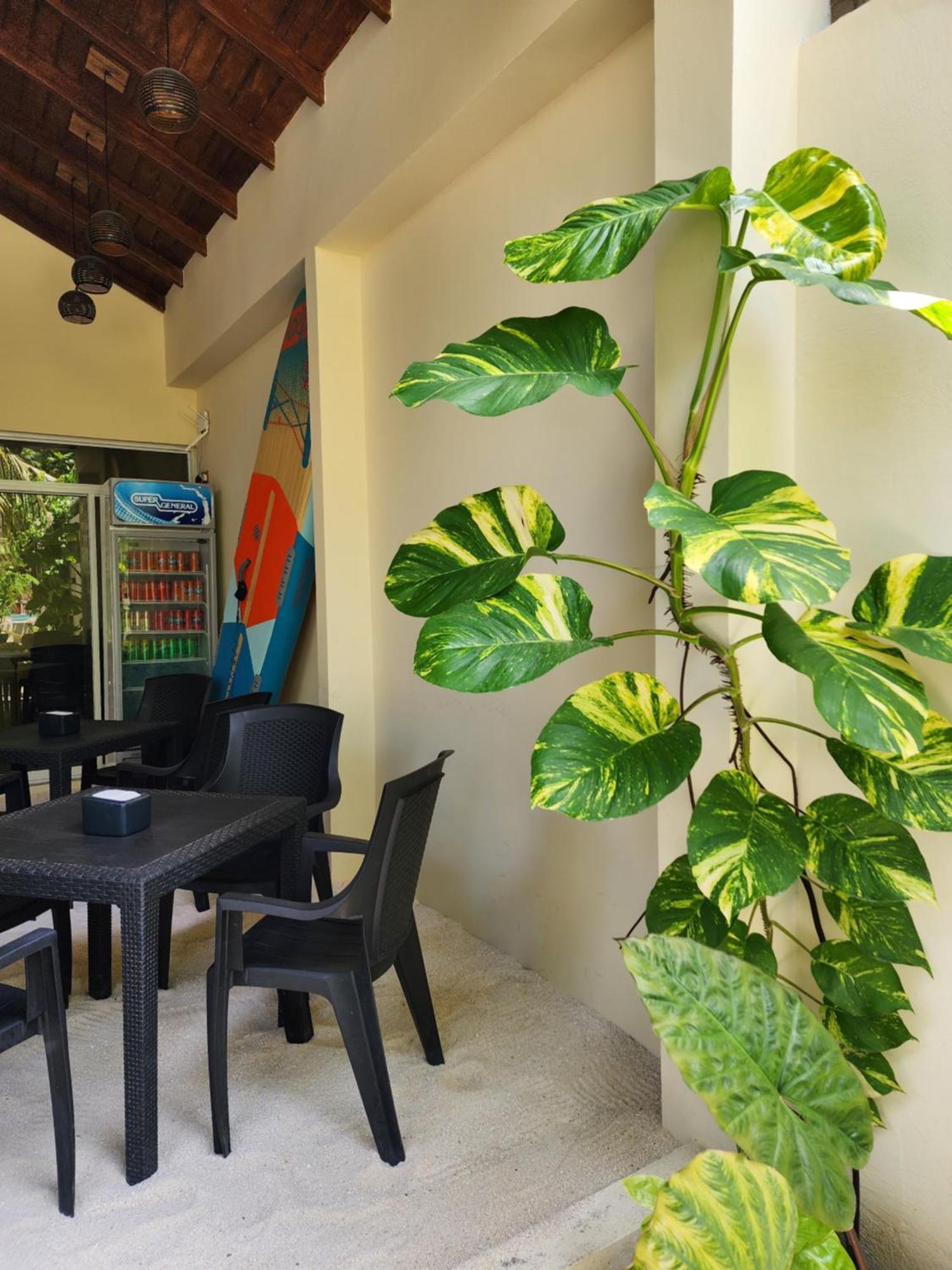 Отель Dhigurah Dhonveli Boutique Экстерьер фото